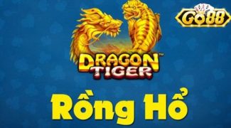 Tìm hiểu chung về game bài rồng hổ Go88 