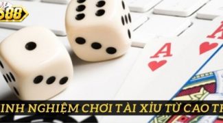 Kinh nghiệm chơi Tài Xỉu dễ thắng từ cao thủ Go88 