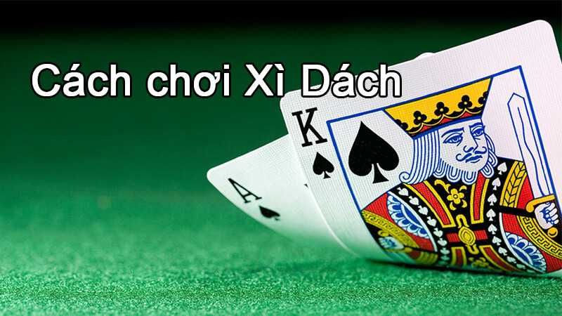 Một điểm nổi bật khi chơi xì dách tại Go88 chính là cơ hội để người chơi thử nghiệm